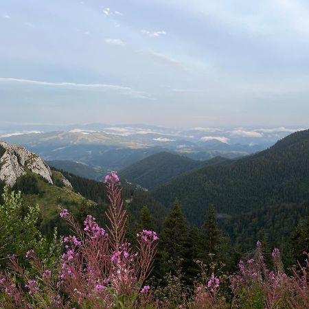 Lux Apartman A18 & Spa Centar Kopaonik Exteriér fotografie