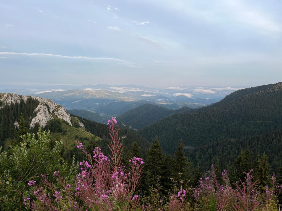 Lux Apartman A18 & Spa Centar Kopaonik Exteriér fotografie